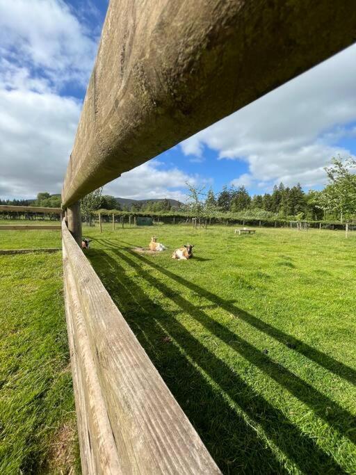 Herdmans Hideaway Brecon Zewnętrze zdjęcie